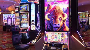 Mega Moolah roulette table with professional croupier at gudangcuan slot